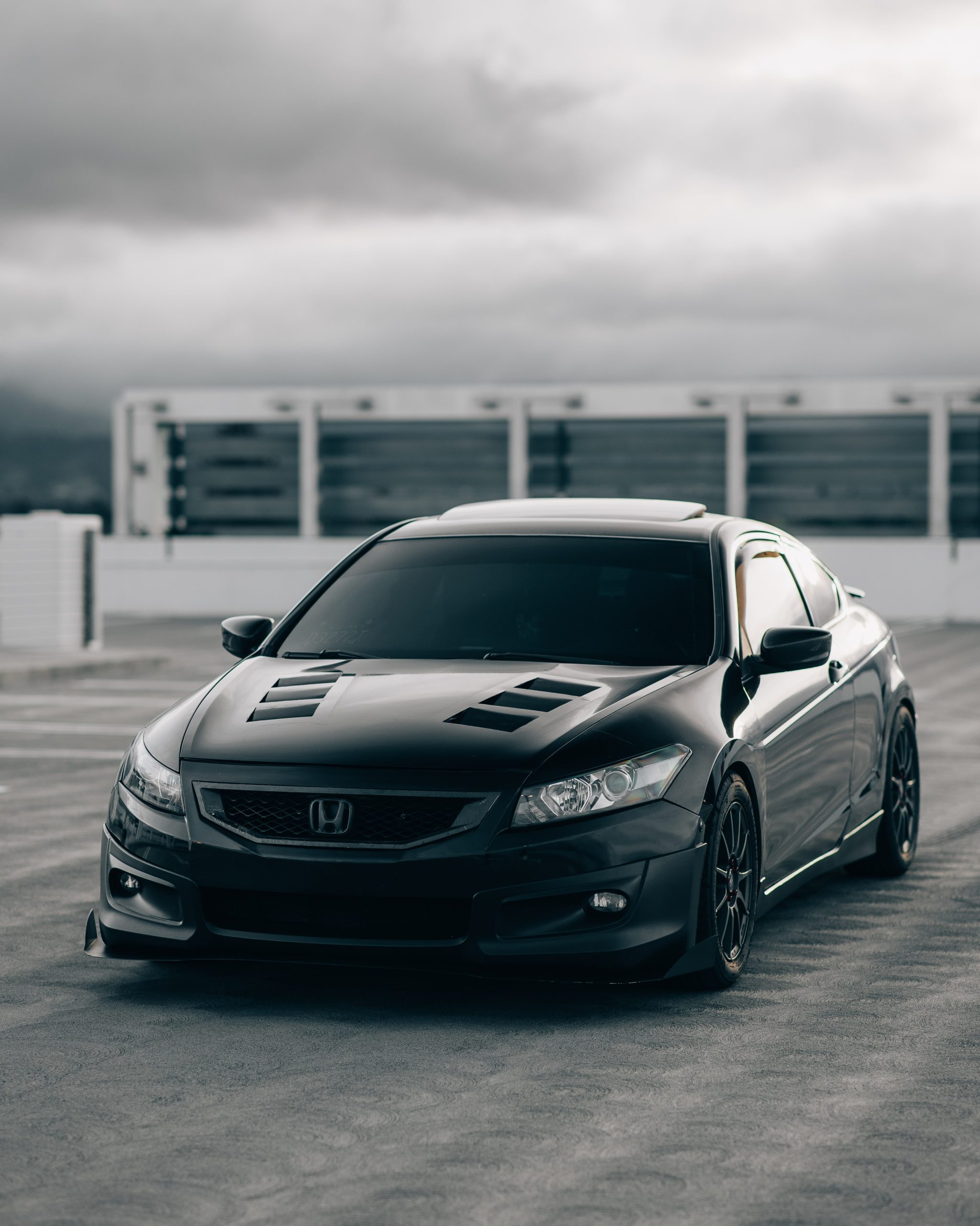 pexels-nathan-tran-16387777 pexels-nathan-tran-16387777